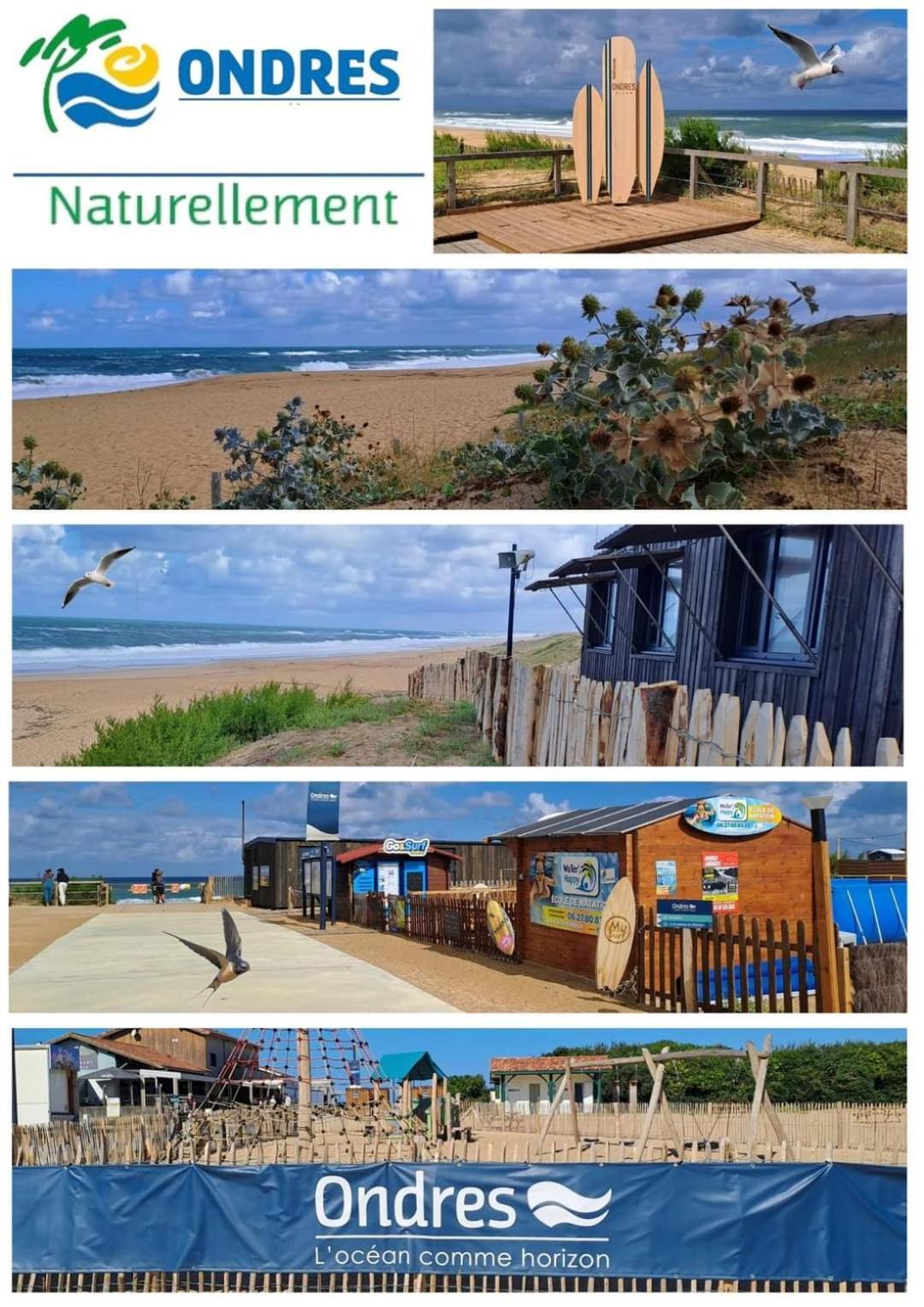 T2 Antigua Ondres Plage Avec Piscine Et Tennis Exteriör bild